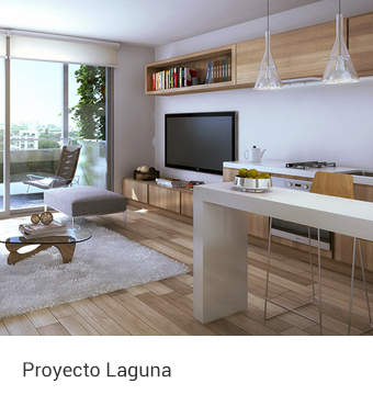 Proyecto Laguna